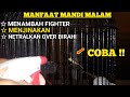 MANFAAT MANDI MALAM UNTUK SOGON BAHAN