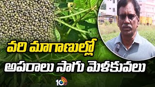 వరి మాగాణుల్లో అపరాలు సాగు మెళకువలు | Cultivation Techniques in Paddy Fields | Matti Manishi | 10tv