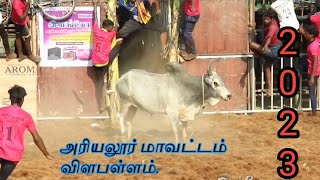 அரியலூர் மாவட்டம் விளபள்ளம் ஜல்லிக்கட்டு /ariyalur mavatdam vilapallam jallikattu