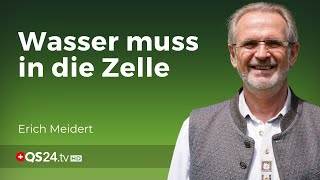 Wasser als Treibstoff für die Zellen? | @MisterWater56 | Naturmedizin | QS24 Gesundheitsfernsehen