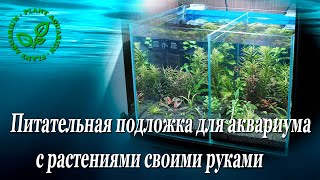 Питательная подложка для аквариума с растениями своими руками