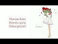 Çinarə məlikzadə mən beləyəm sözləri lyrics