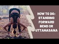 How to practice standing forward bend or Uttanasana