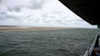 Zeehonden spotten met de Riepel op Terschelling