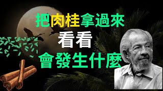 揭示神秘力量！肉桂的古老仪式加速您的梦想成真 |