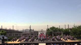 2014 6 1 犬山踊芸祭 石作公園メイン会場　いりゃあせ南都