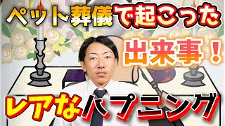 ペット葬儀にある出来事とペットを火葬後のお心付け！ペット葬儀で起こった特別な出来事とペットを火葬後のお心付け｜フリーランス 起業 副業 Pet funeral Cremation