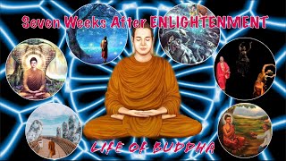 7 Weeks After ENLIGHTENMENT / Life Of BUDDHA ( Facts To Known )