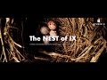 STUDIO 9 Branding Concept Video   The Nest of IX