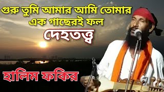 গুরু তুমি আমার আমি তোমার এক গাছেরই ফল || Halim Fakir || Folk Song || হালিম ফকির || দেহতত্ত্ব