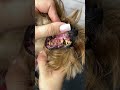 it s terrible what terrible teeth a dog has and neglected 🙀🙀🙀😱 puppy funny teeth