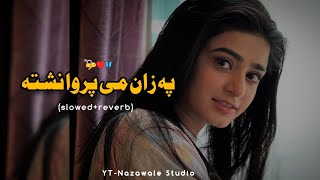 Pa Zan Me Parwa Neshta😇✌️ | Slowed Reverb | Pashto New Song | Slow Reverb Song