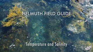 Helmuth Field Guide: Temperature and Salinity