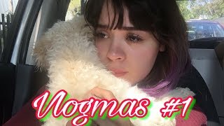 DANDO EN ADOPCION A PAMBAZA 🎄 VLOGMAS DIA 1