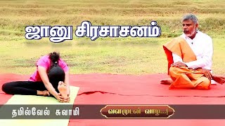 கல்லீரலைக் காக்கும் ஜானு சிரசாசனம் | Pranavam TV