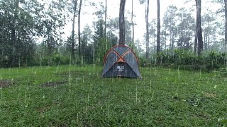SOLO CAMPING IN HEAVY RAIN AND THUNDERSTORM • RELAXING CAMPING RAIN WITH THE RAIN SOUNDS • ASMR