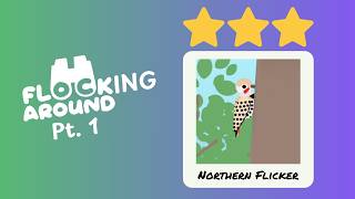 Flocking Around Part 1 - 3 Star Northern Flicker/Woodland Habitat | Flock Around No Commentary
