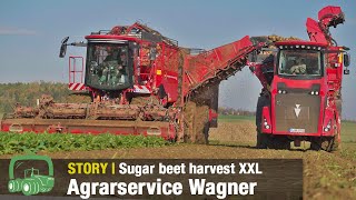 Sugar beet harvest with Agrarservice Wagner | Holmer Terra Dos 5 with HR 12 | Factory visit