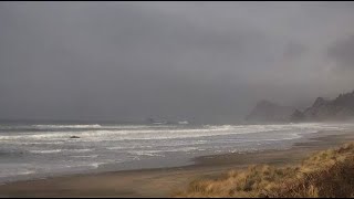 Foggy day on the Oregon coast