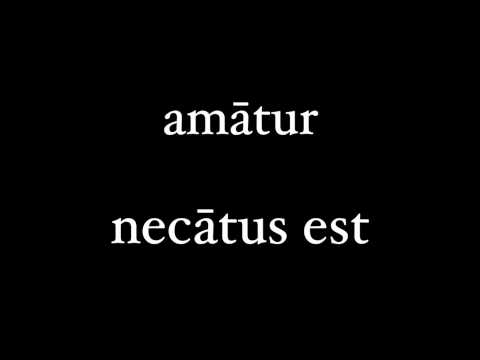 What does passive mean in Latin?