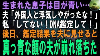 【スカッとする話】私も夫も日本人なのに息子の目が青色。夫「外国人と浮気したのか！」離婚だ！」後日、DNA鑑定の結果を夫に見せると真っ青な顔の夫は膝から崩れ落ちた→実は…