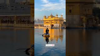 Satnam shri waheguru waheguru waheguru waheguru waheguru ji 🌄