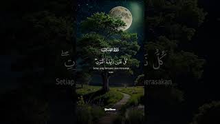 Talawat Quran Pak | #foryou #effects #talawatequranepak #talawatquran #shortvideos #duet #viralvideo