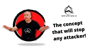 Wing Chun - Don't impose your will to get your way in - Kung Fu Report #223