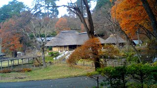 みちのく民俗村ライブ 2023.11.23 11:38