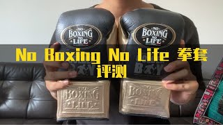 【芭蕉测评】No Boxing No Life 拳套评测