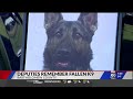 Bartholomew County Sheriff's Office remembers K9 Diesel