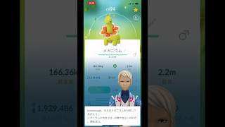 メガニウム色違い【ポケモンGO】 #ポケモン #ポケモンgo色違い #ポケモンgo