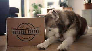 Unboxing Natural Treats For Dogs