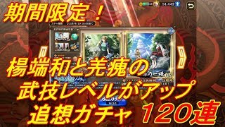 【キングダム乱】追想ガチャ期間限定！１２０連【キンラン】