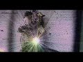 Dehuman Concept: Floating in the Void