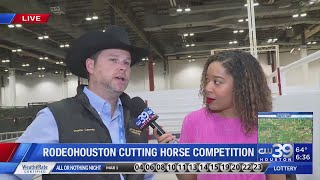 RODEOHOUSTON cutting horse competition  underway at NRG stadium | CW39 Houston