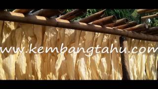 Kembang Tahu di Jakarta, Jual Kembang Tahu di Jakarta