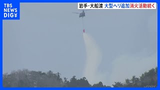 岩手・大船渡市の山林火災 発生から3日　自衛隊・大型ヘリが消火活動中 3306人に避難指示継続｜TBS NEWS DIG