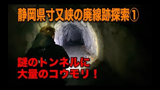 【廃道】静岡県寸又峡の廃線跡探検①【隧道】