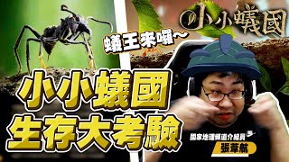 【國動】想成為蟻王嗎？國家地理頻道主持人帶你進入螞蟻的世界！玩遊戲還可以學到一堆知識太賺啦！ by 醉拳甘迺迪｜小小蟻國