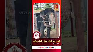 ಏನಿಲ್ಲ ಗುರು..ಸ್ವಲ್ಪ ಕಡಿತ ಇತ್ತು ಅಷ್ಟೆ-ಕಂಜನ್‌