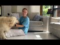 golden retriever loves hugs and kisses