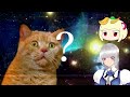 【mhrise】大量にスキルを発動させた狩りがカオス過ぎるwwwwww【モンハンライズvoiceroidゆっくり実況】