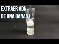 Extraer ADN de Banana - Química Interactiva