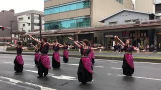 桜華乱舞 元気ハツラツ市2019.3pm【関東総舞黎】