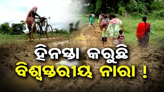 ହିନସ୍ତା କରୁଛି ବିଶ୍ବସ୍ତରୀୟ ନାରା !  | Odisha Reporter