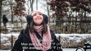 Seasons in New York: Temperature and Climate by Month