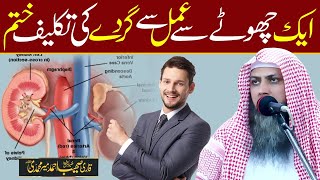 Treatment of Kidney Diseases | Chotay Se Amal Se Bemari Khatm | Qari Sohaib Ahmed Meer Muhammadi