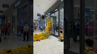 Lion eating lettuce during lion dance #auspicious #chineseculture #chinesenewyear #cny #cny2025