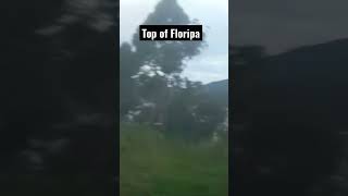 Scariest road in Floripa #valeapena #assustado #crazyroads